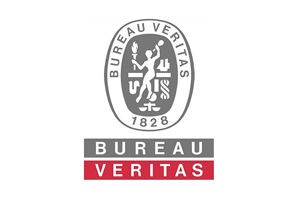 Pluma de carretilla elevadora certificada por BV, extensión para elevación de materiales de alta resistencia, pluma extensible para descarga de contenedores, proveedor de China